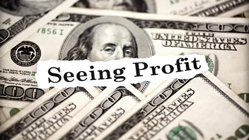 Seeing-Profit